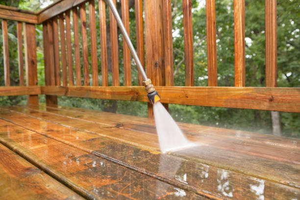 Best Deck Cleaning Services  in Lake Nacimiento, CA